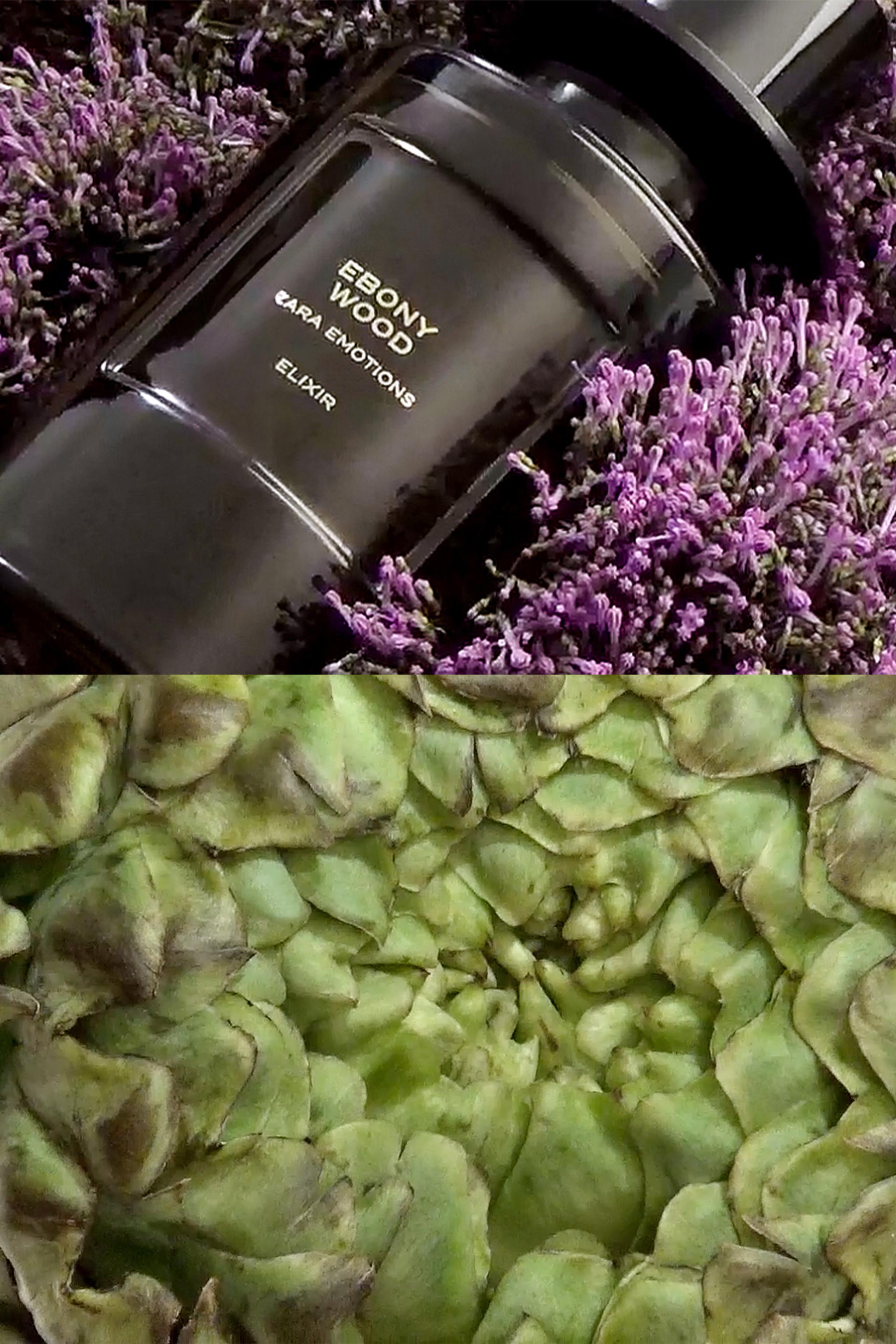 EBONY WOOD ELIXIR EDP 100ML (3.4 FL.OZ).